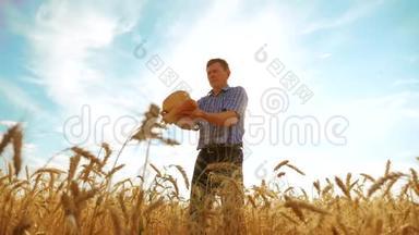 老农夫<strong>剪影</strong>面包师拿着一个<strong>金色</strong>的面包和面包在成熟的麦田里对着蓝天。慢动作